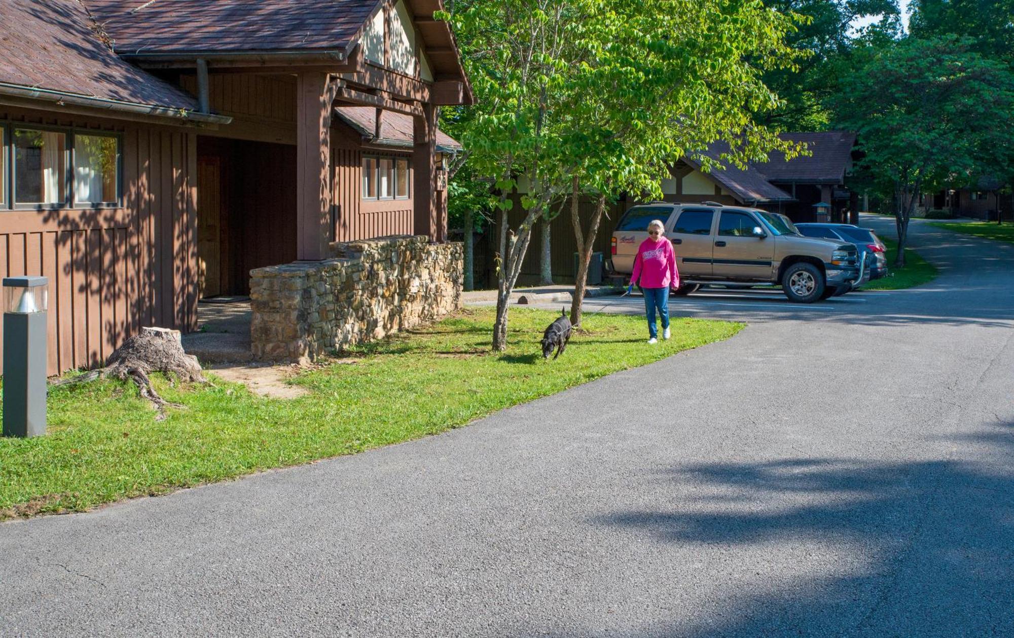 Cumberland Falls State Resort Park Honeybee Екстер'єр фото